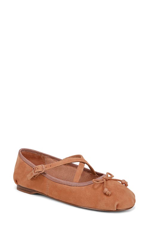 Circus Ny By Sam Edelman Zuri Ballet Flat In Cinnamon Sugar