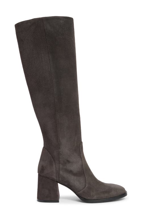 Stuart Weitzman Nola Knee High Boot In Slate
