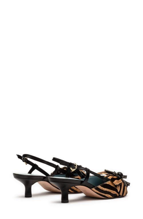 Frances Valentine Flower Genuine Calf Hair Kitten Heel Slingback Pump In Zebra Haircalf