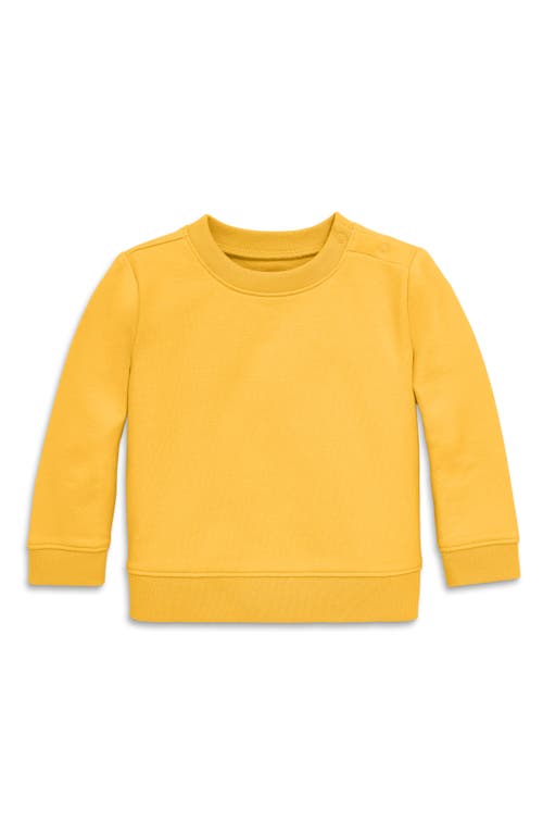 Primary The New Baby Sweatshirt In Sunflower