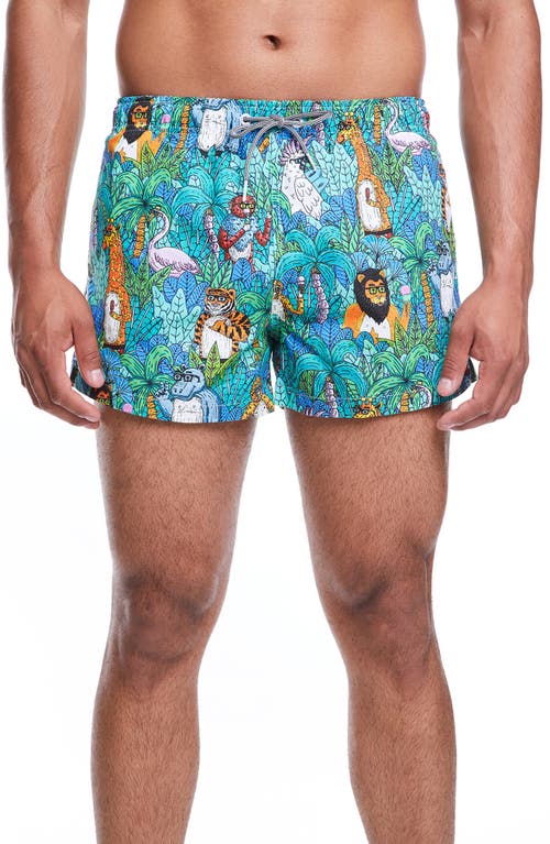 Boardies Mulga Jungle Swim Shorts in Teal at Nordstrom, Size X-Small