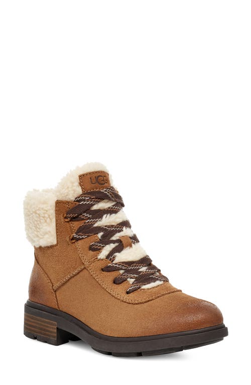 UGG(r) Harrison Cozy Lace-Up Waterproof Boot in Chestnut
