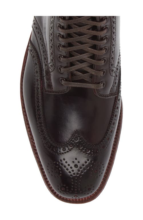 ALDEN SHOE COMPANY ALDEN WINGTIP LACE-UP BOOT 