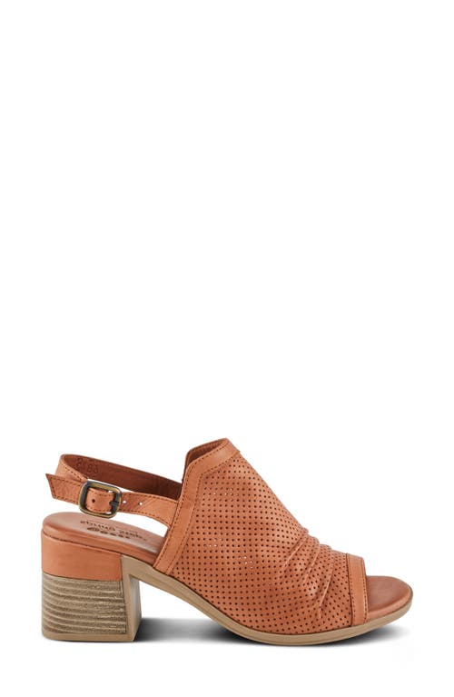Spring Step Noctium Slingback Sandal In Camel
