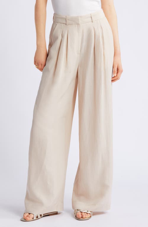 Nordstrom Pleated Wide Leg Pants at Nordstrom,