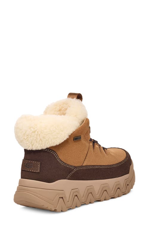 Ugg(r) Terretrail Cozy Winter Boot In Chestnut