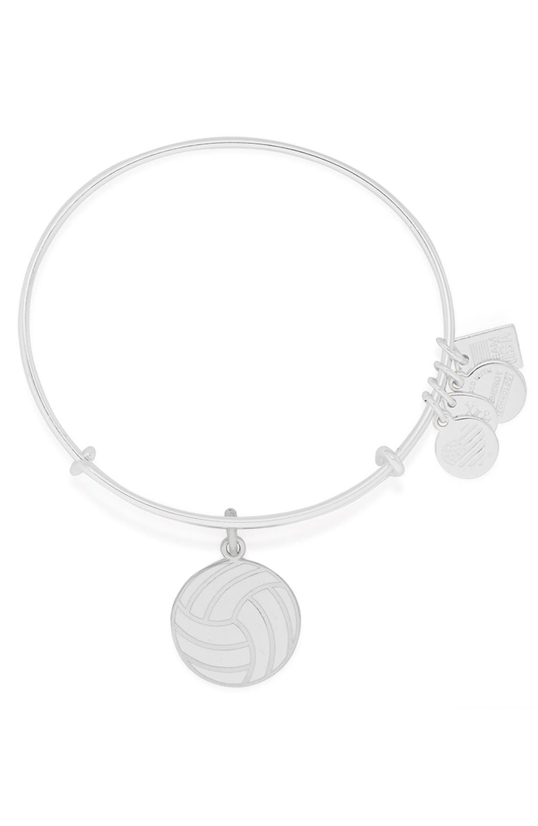 alex and ani volleyball charm bracelet