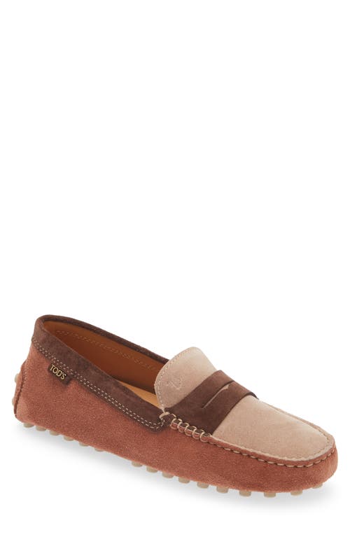 Shop Tod's Colorblock Penny Loafer In Cotto Chiaro