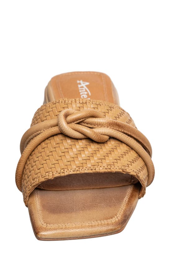 Antelope Adanna Slide Sandal In Taupe Leather