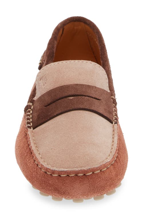 Shop Tod's Colorblock Penny Loafer In Cotto Chiaro