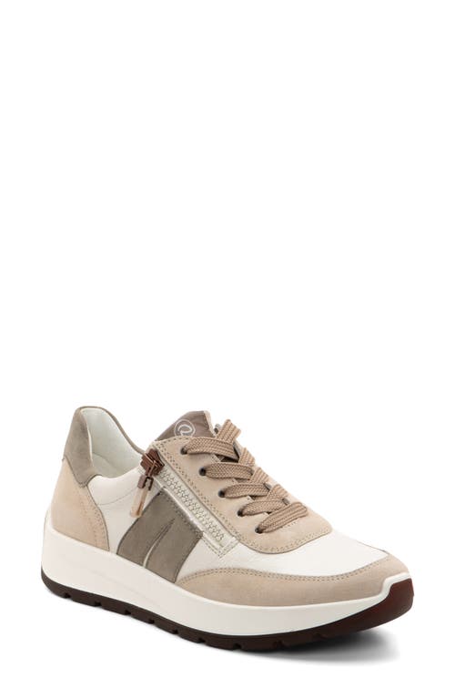 Ara Nerine Sneaker In Beige