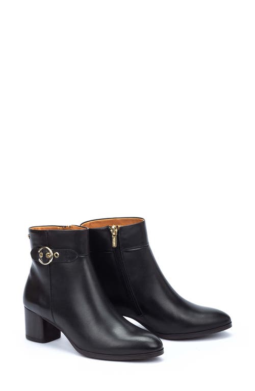 Pikolinos Calafat Buckle Bootie In Black Ii