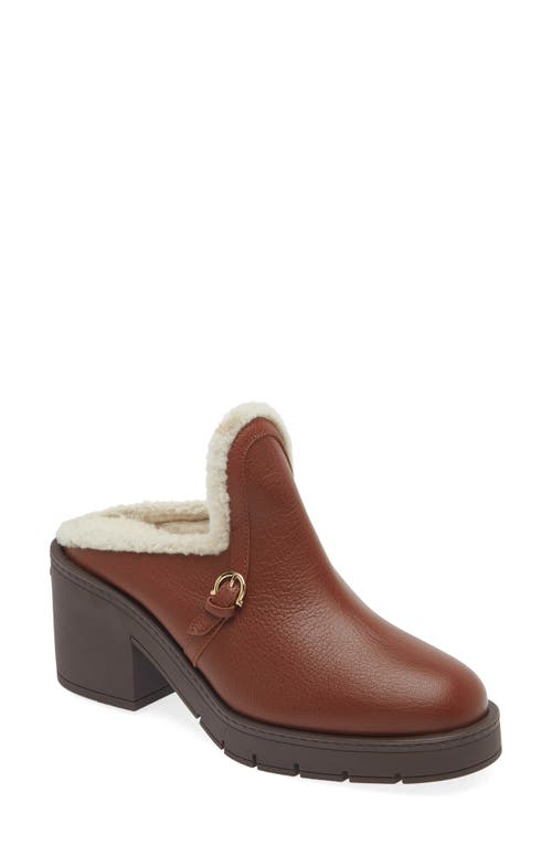 Shop Ferragamo Saura Genuine Shearling Lined Mule In Cappuccino Naturale Biscotto