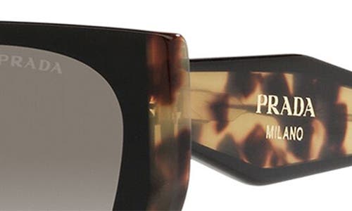 Prada Sunglasses In Black/tortoise/grey Gr