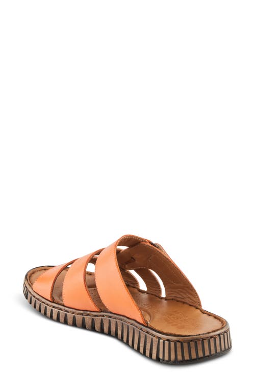 Shop Spring Step Olly Slide Sandal In Coral