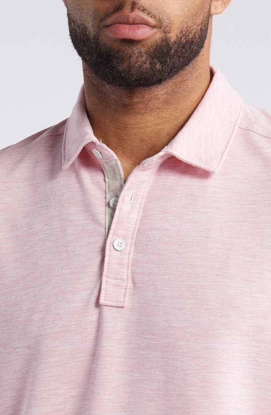 Shop Tommy Bahama New Coasta Vera Solid Polo In Pink Confetti