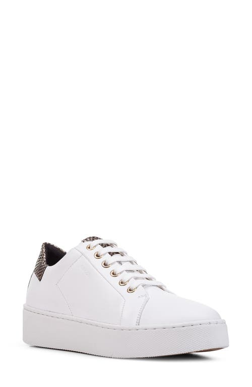 Shop Geox Skyely Low Top Sneaker In White Gold