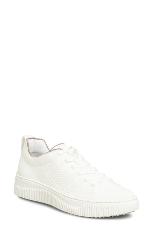Faro Sneaker in White