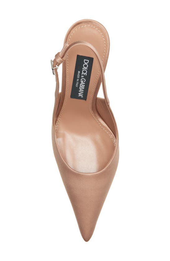 Shop Dolce & Gabbana Pointed Toe Slingback Stiletto Pump In Dark Beige