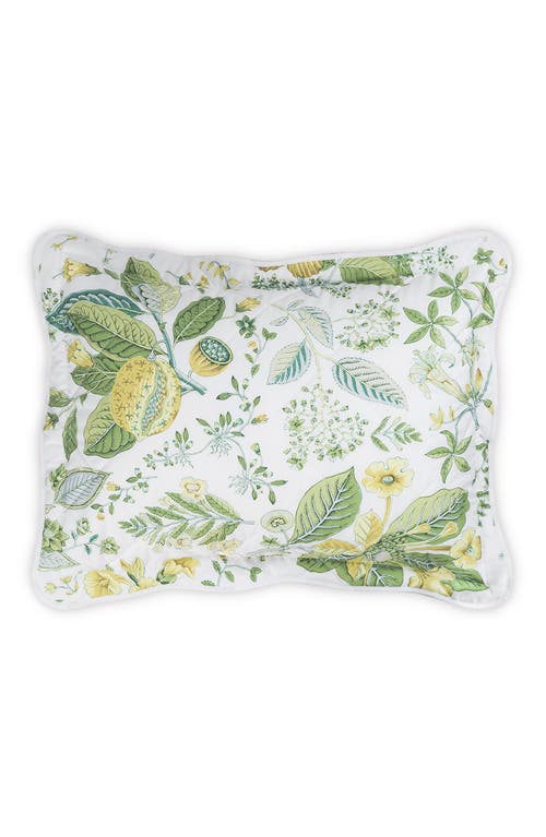 Matouk Pomegranate Quilted Boudoir Pillow in Citrus at Nordstrom