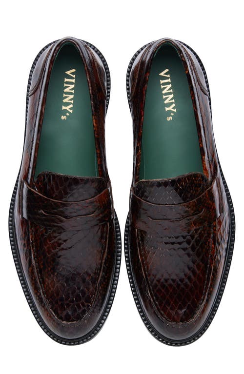 Shop Vinny's Townee Snake Embossed Penny Loafer In Dark Brown Python Pattern