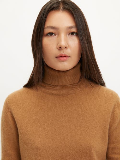 Shop Gobi Cashmere Classic Turtle Neck In Almond