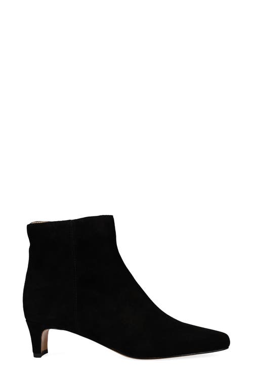 Shop Pelle Moda Galia 2 Bootie In Black