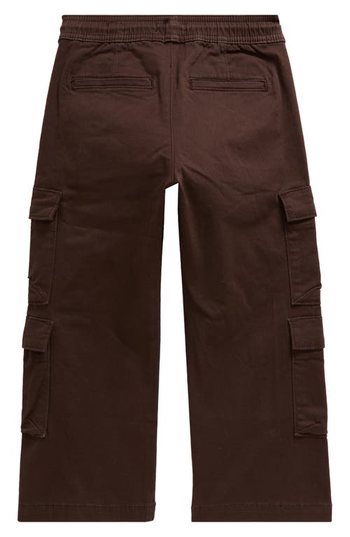 Pacsun Kids' Porter Stretch Cotton Cargo Pants In Brown