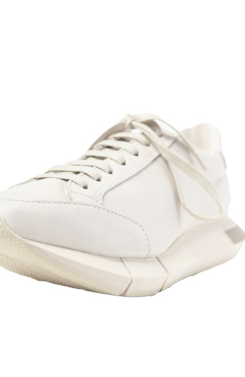 Shop Paloma Barceló Paloma Barcelo Lisieux Sneaker In White/gesso-taupe