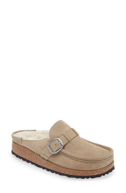 Shop Birkenstock Buckley Genuine Shearling Mule In Taupe