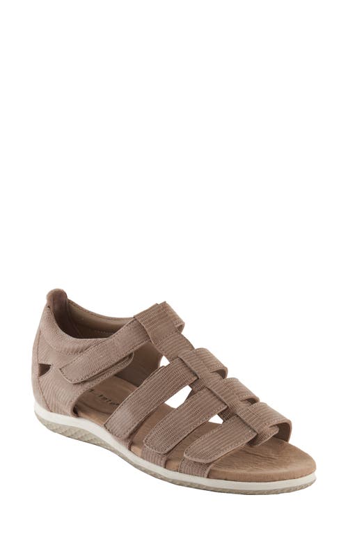 Shala Strappy Sport Sandal in Taupe Lizard Print Leather