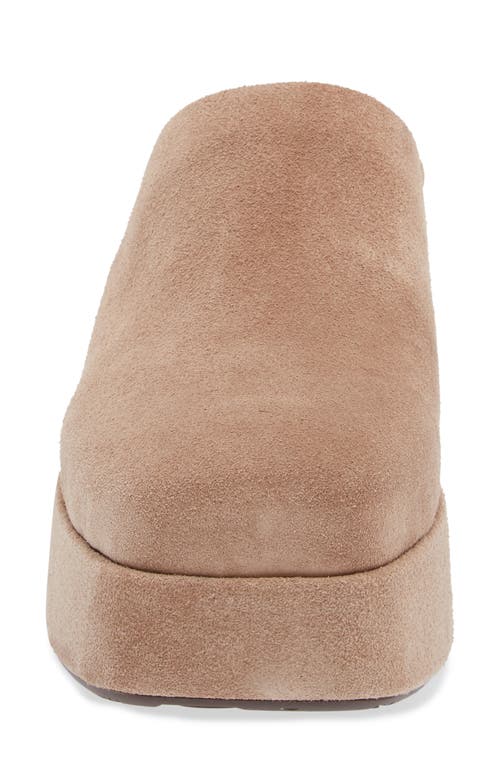 CHOCOLAT BLU CHOCOLAT BLU HEDIA PLATFORM MULE