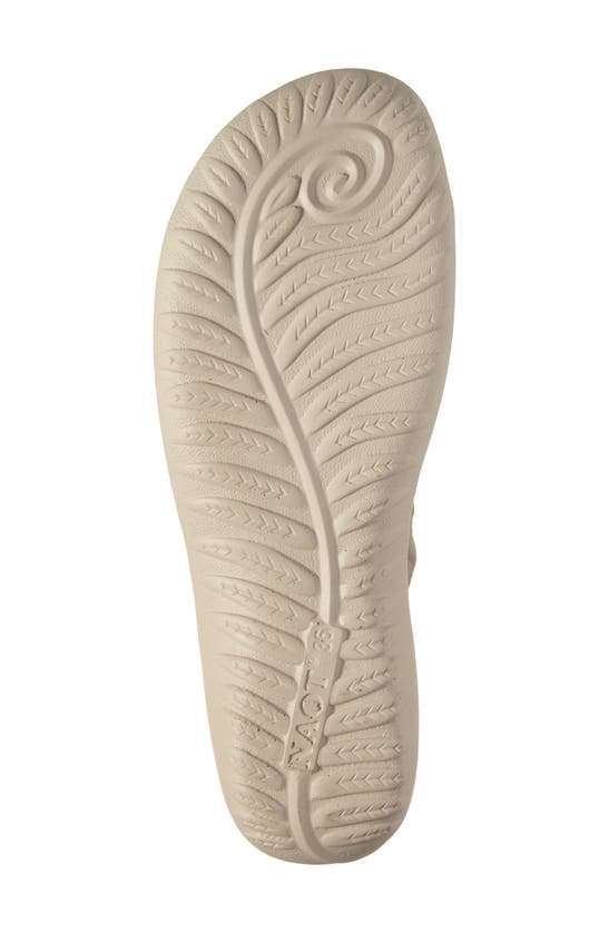 Naot Okahu Sneaker In Taupe Knit