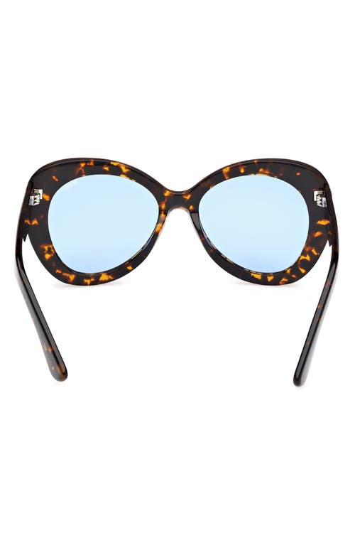 Pucci Emilio 56mm Round Sunglasses In Dark Havana/bright Blue