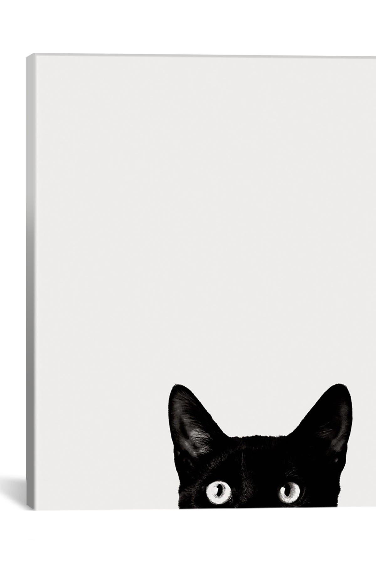 Icanvas Curiosity By Jon Bertelli Wall Art In Multi 1