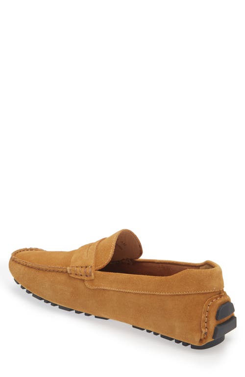 Shop Nordstrom Driving Penny Loafer In Tan Spice