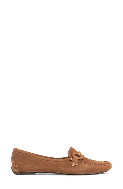 Shop Patricia Green Jane Bit Loafer In Cognac Suede