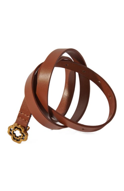 Shop Maje Slim Clover Belt In Camel