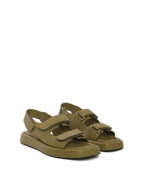 Maguire Murcia Sandal Light Olive Green at Nordstrom,