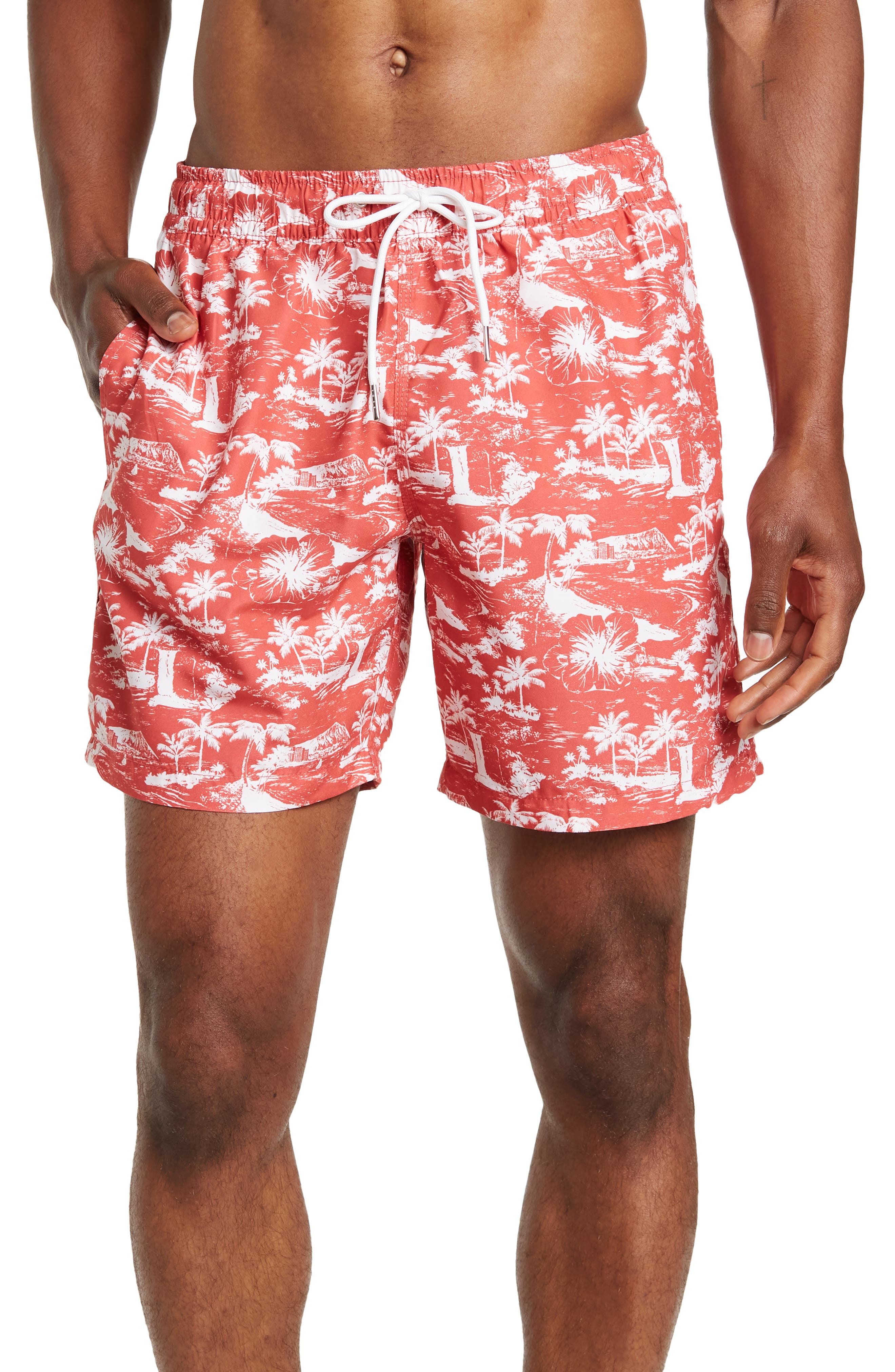 slate and stone swim trunks