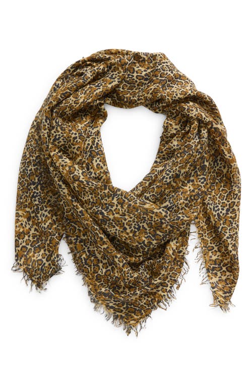 Shop Isabel Marant Madicia Leopard Print Wool & Cashmere Fringe Scarf In Brown