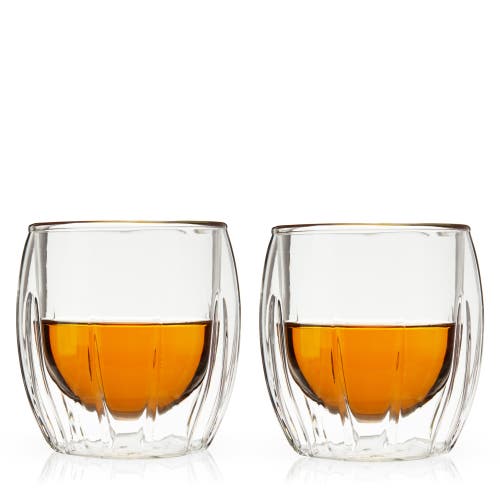 Viski Double Walled Spirits Glasses Set Of 2 In Clear