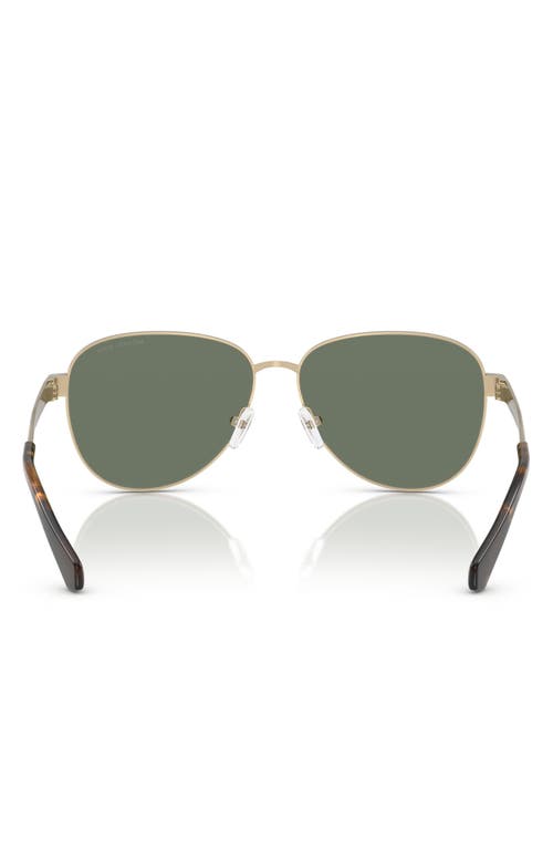 MICHAEL KORS MICHAEL KORS 59MM PILOT SUNGLASSES 