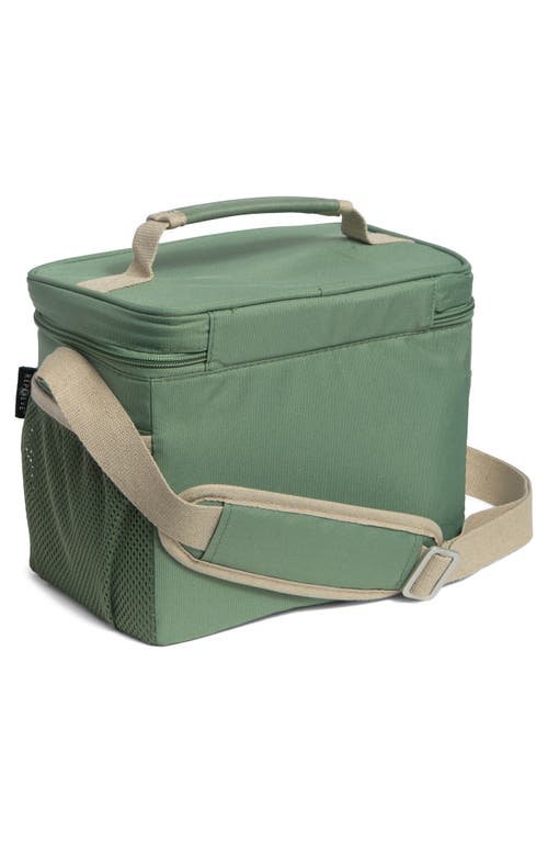 Shop Igloo Ecocool™ Cube Lunch Tote In Green