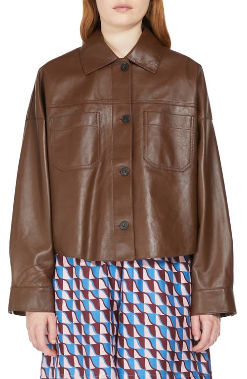 Shop Weekend Max Mara Buono Leather Shirt Jacket In Tobacco