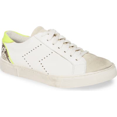 Steven By Steve Madden Roko Sneaker, White