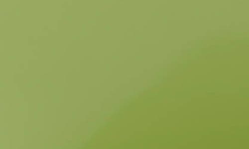 Trebonn Melamine Pile Bowl In Green