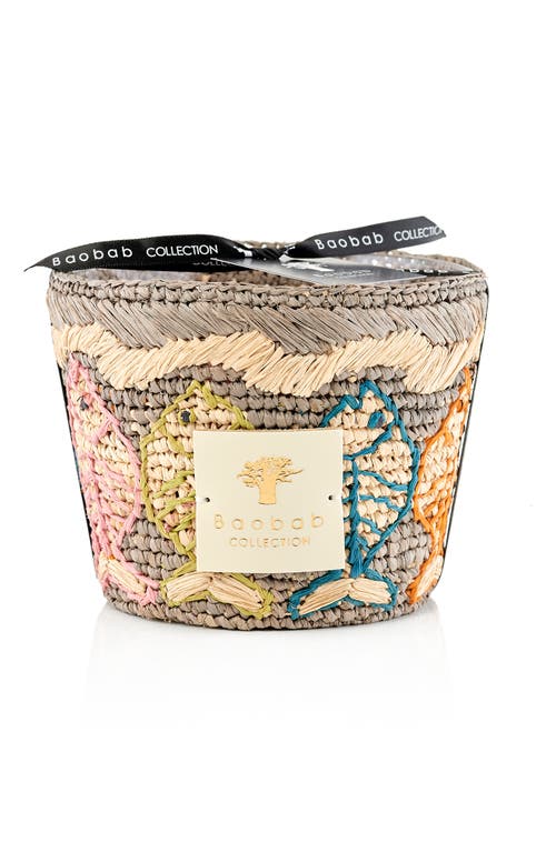 Baobab Collection Vezo Glass Candle in Anosy at Nordstrom