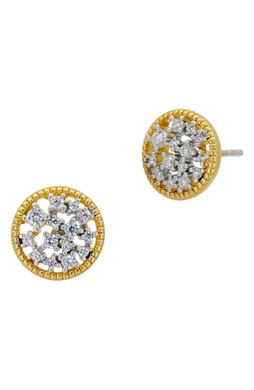 FREIDA ROTHMAN Shining Hope Crystal Stud Earrings in Gold And Silver