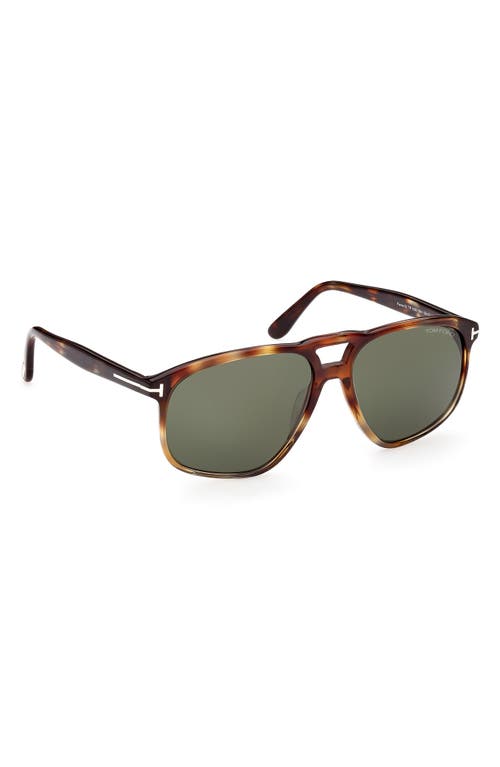 Shop Tom Ford 58mm Navigator Sunglasses In Havana/green